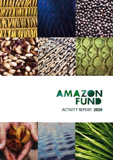 Activity Report 2020