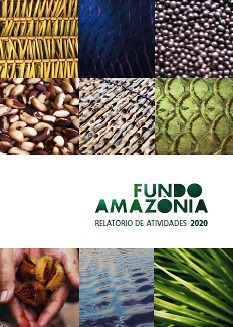 Relatório de Atividades 2020